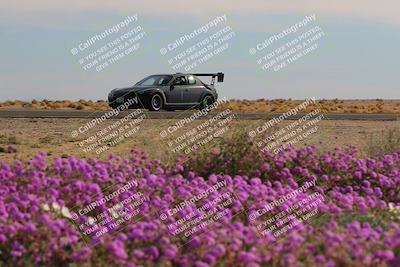 media/Jan-08-2023-SCCA SD (Sun) [[8f6a5b9391]]/Intermediate Group/Session 2 (Short Straight)/